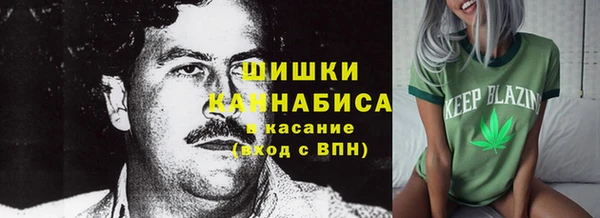 ешки Алзамай